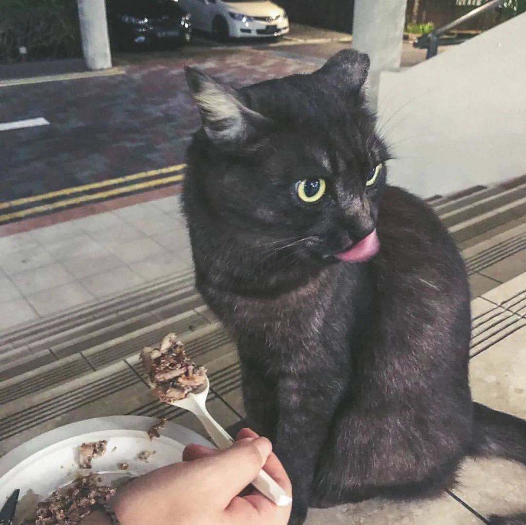 南洋理工大學，每一幀都很美