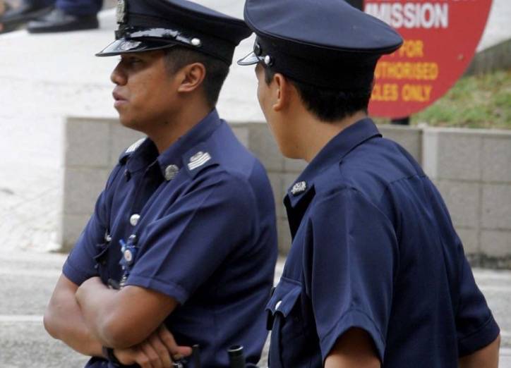 四人在新加坡餵野豬犯法,共被罰1萬新幣!這些罰款規定太多人踩雷