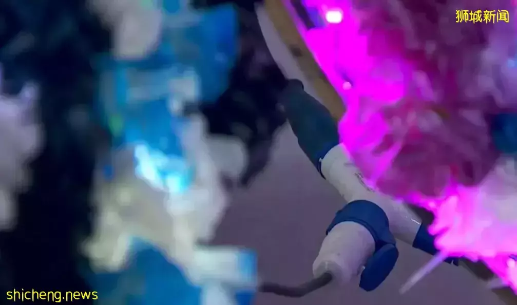 电子花圈和充气拱门引发安全隐患,新加坡国家环境局和殡葬协会已出政策