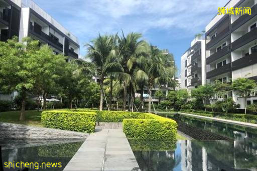 在新加坡国立大学就读是一种怎样的体验!