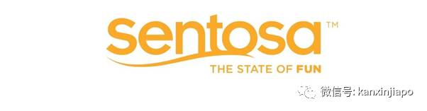 新币对人民币汇率跌至一年最低!这样花钱最划算