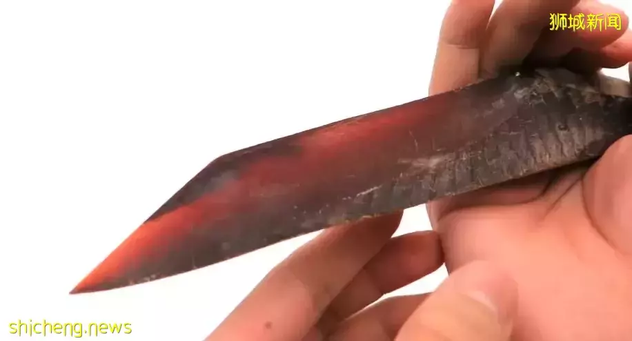 8分鍾瘋砍雇主100刀！印尼女傭在新加坡被判終身坐牢、她不服上訴