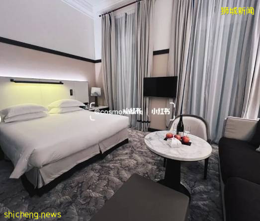 “最近!我從新加坡飛德國、法國免隔離度假,猜猜花了多少錢~”