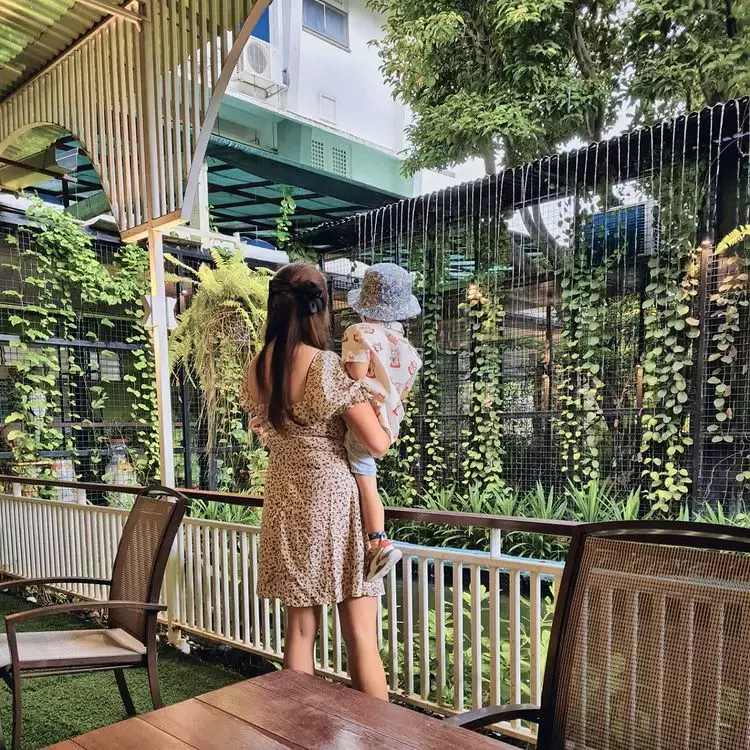 闹市中的绿洲🍃精选新加坡6间花园餐厅!环境优美舒适,吃饭胃口瞬间大增😎