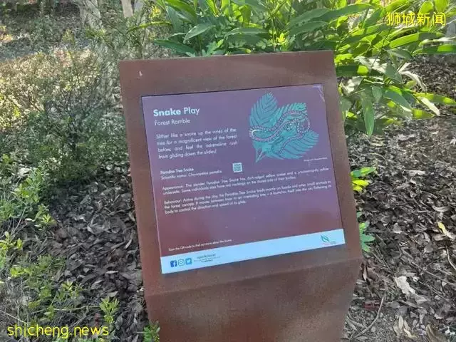 告別“塑料遊樂場”，看新加坡的公園如何诠釋“高大上”