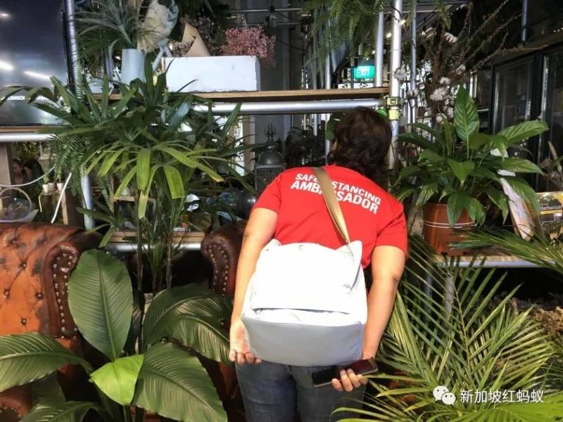 別因“新加坡紅螞蟻”提醒你戴口罩而生氣 　李顯龍：他們只是在盡忠職守