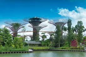 【新加坡留学】有孩子的你，更适合“上坡”