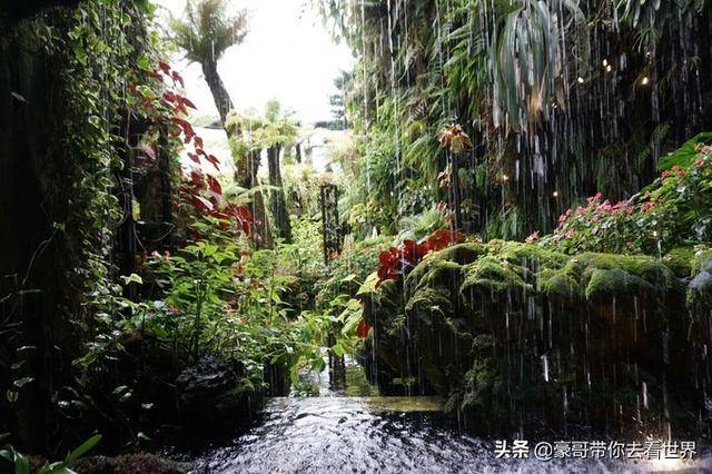 豪哥帶你看世界：新加坡不枉此行的12大看點（下）分三集介紹