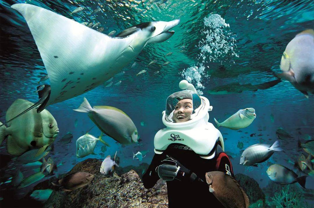 新加坡 吸引人们来,靠的不仅是颜值,还有才华