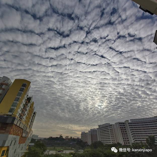“地震雲”昨早刷爆朋友圈！很少看過這麽“怪異”的朝陽