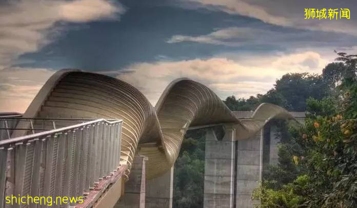 新加坡丨到了新加坡才知道的那些事兒（七）