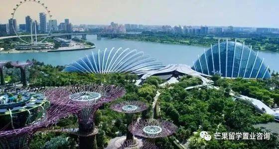 新加坡移民途徑總有一款適合您