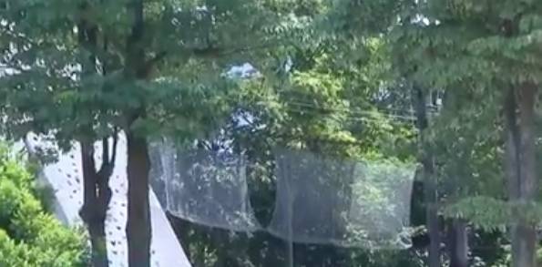 少年参加户外活动不幸身亡,引本地家长担忧