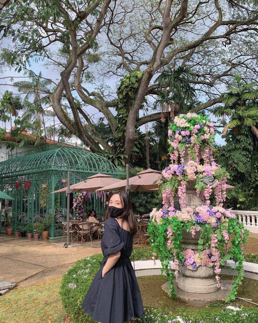 花园探店☕️ 隐藏版森系咖啡馆Wildseed Cafe🌹 经典复古建筑+巨型铁栅鸟笼,浓浓异国气息