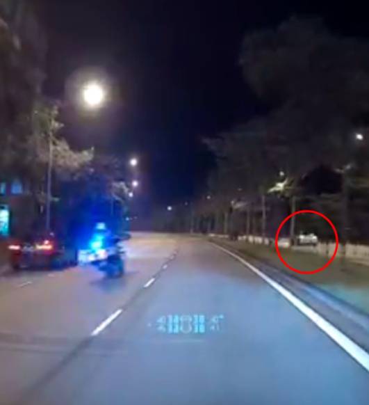 胆子大技术差，新加坡版极品飞车撞树被捕