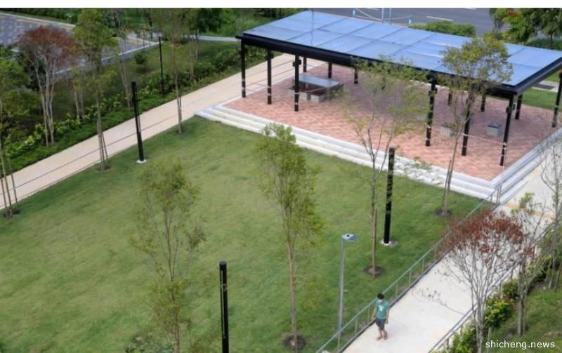 暴增596例，累计6588！张文宏等专家：新加坡封城必须彻底才会有效，解封需延长2周