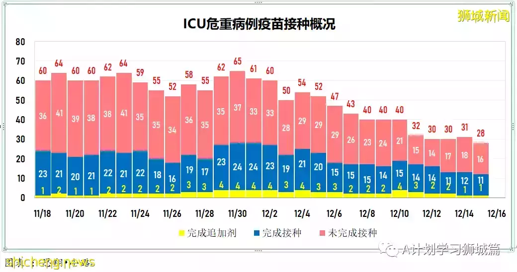 新增355起,新加坡再有三個感染奧密克戎變種毒株;意大利禁新加坡遊客入境
