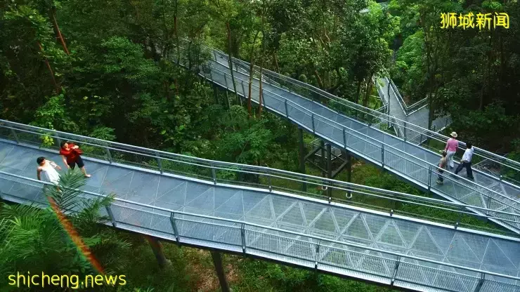 新加坡南部要建新公园,占地200公顷!这些地方太美了打卡必去