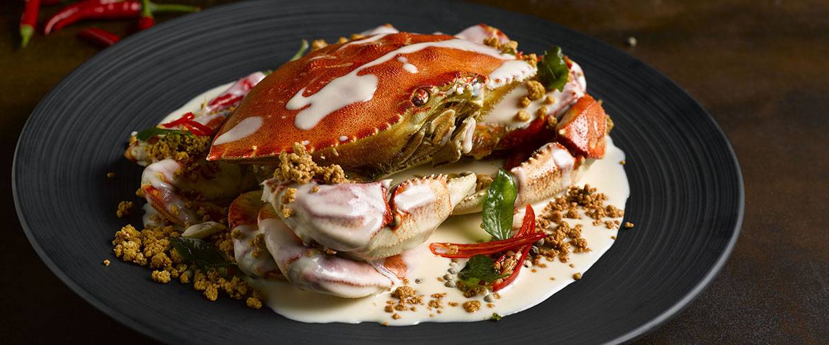 省錢吃飯攻略🔥 樂天飲食集團旗下八家餐廳推出50%促銷折扣！美滋鍋、樂天皇朝、樂蝦、樂牛等砍半價