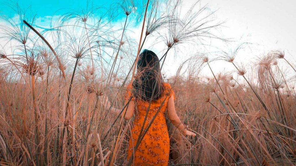 發現這一抹綠💚解鎖新加坡森林系打卡點🌳青翠蔥郁、空靈意境，仙氣爆棚一秒出片⚡