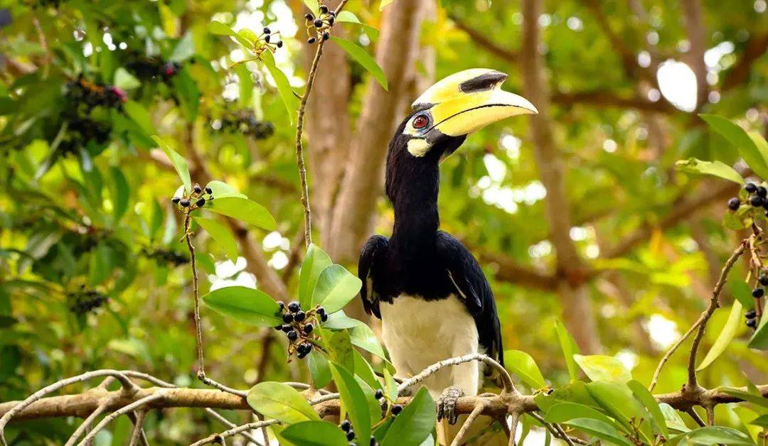 單車美景盡在周邊小島!周末即可出發