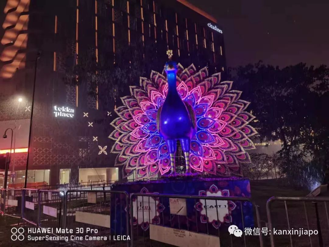 美炸！新加坡迎来屠妖节，小印度惊艳变这样！