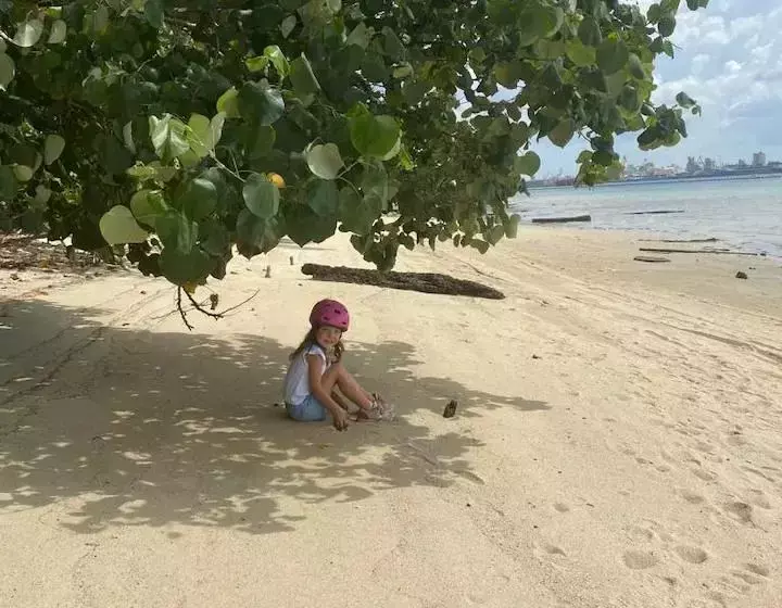 不用坐船,走路就能到!新加坡北部神秘離島,原始森林風光