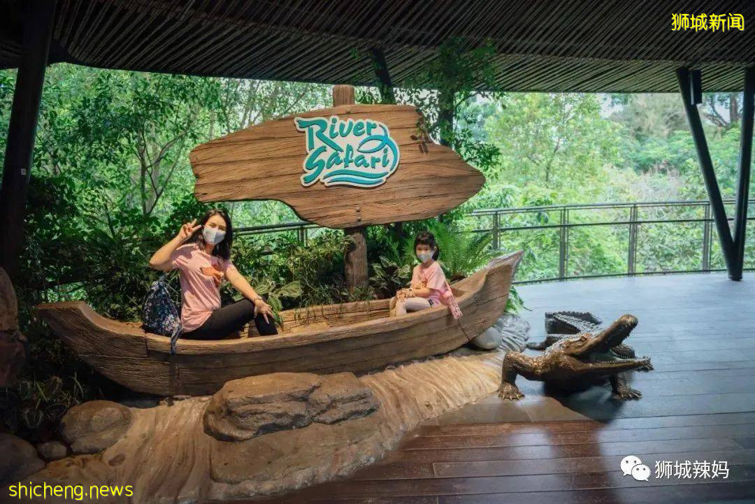 僅2天！新加坡動物園最牛的餵動物之旅，8折！還有幻光雨林和4大園5.5折起，搶啦