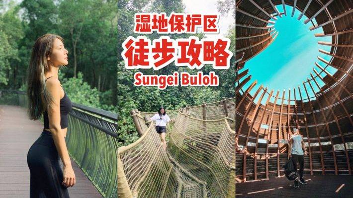 Sungei Buloh濕地保護區🌳 走進濕地，聆聽大自然的聲音🍃 徒步路線攻略、特點介紹、必踩打卡點