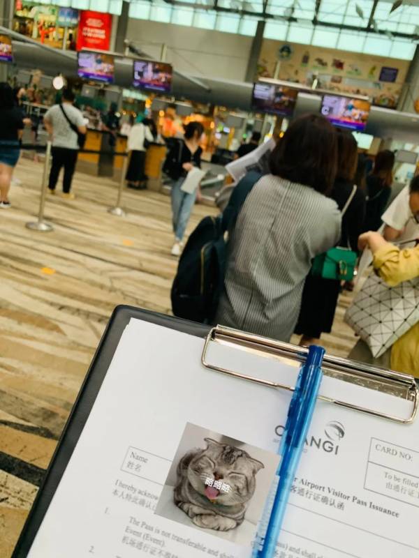 聽說很多人去了樟宜機場免稅區逛街？我們翹班去體驗了一把