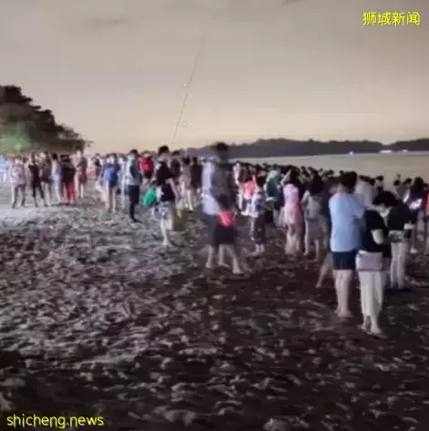新加坡現“藍色螢光”海浪!這裏擠滿了人,沿路交通擁堵