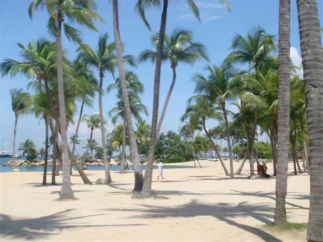 出境自由行第一站去哪儿比较好?—八大理由让你爱上新加坡