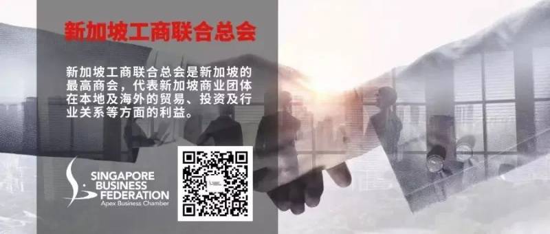 专业铸就未来——新加坡专业服务企业与中国伙伴共同探索全球发展新机遇