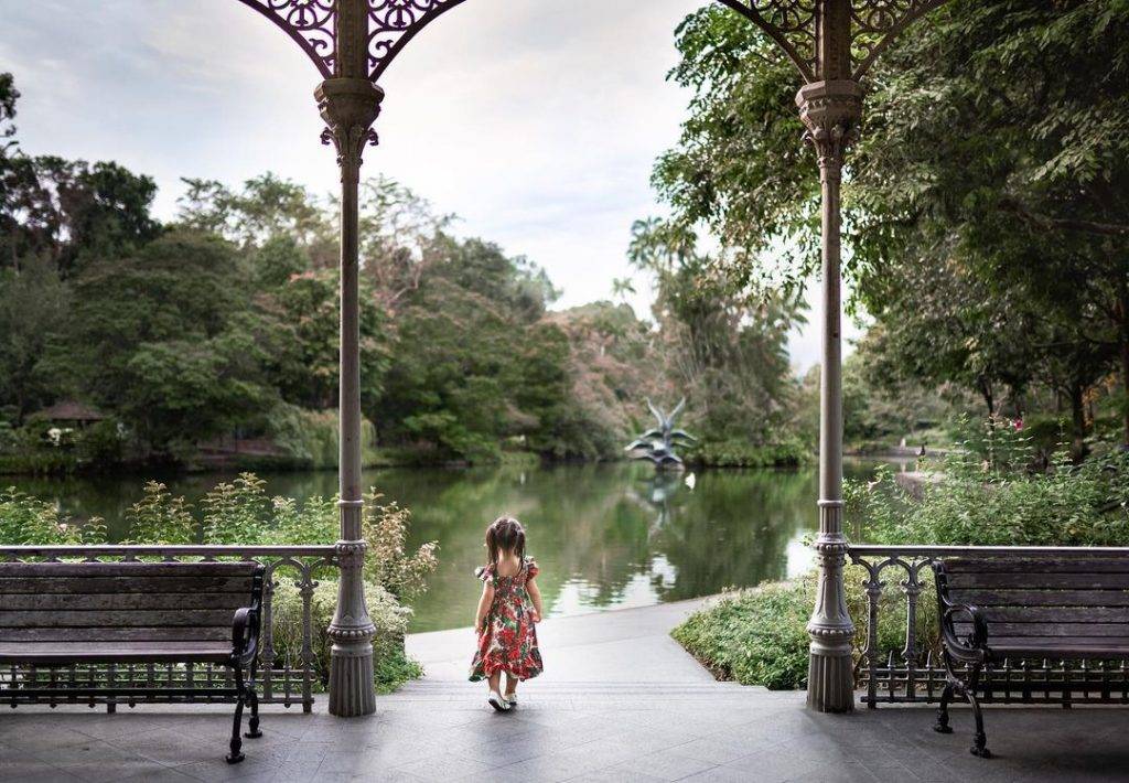 全新探索攻略💐“Botanic Garden”還可以這樣玩!唯美天鵝湖、奇妙曆險公園,解鎖新視野