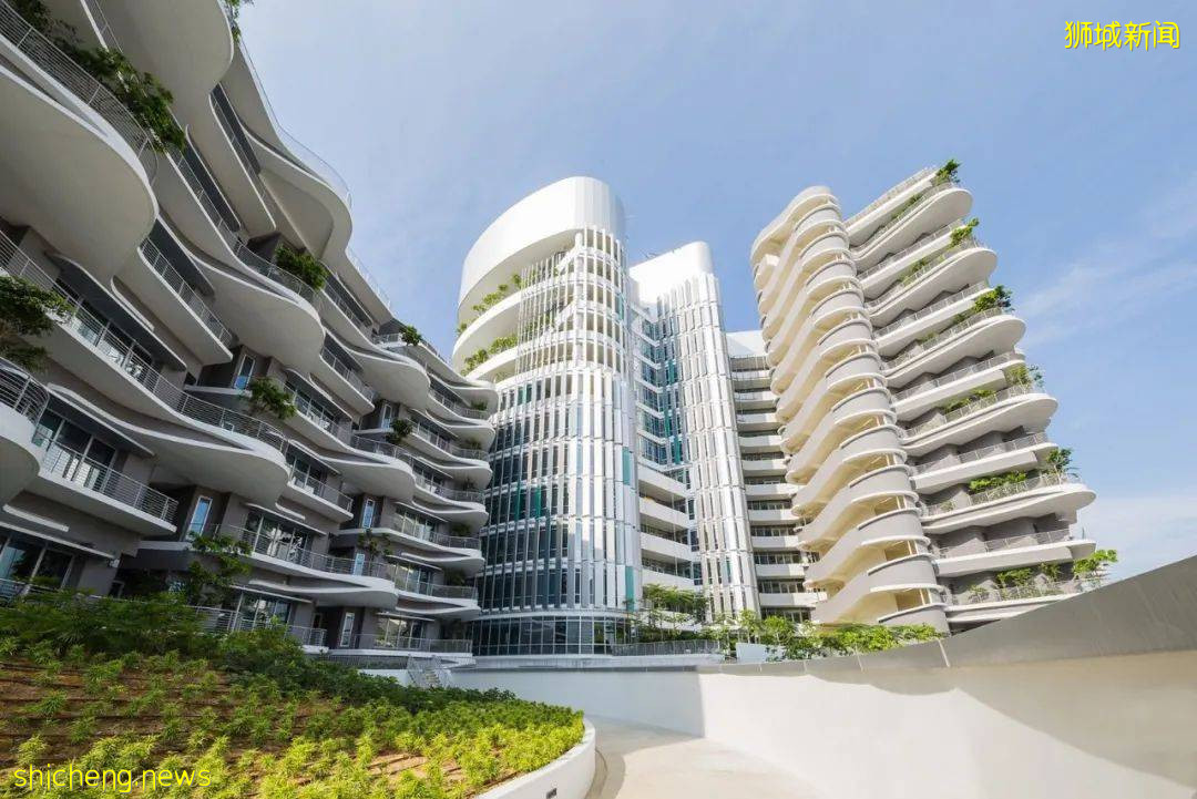 突发!新加坡一巴士从高处摔下,90度翻车窗户全碎!14人被紧急送往医院