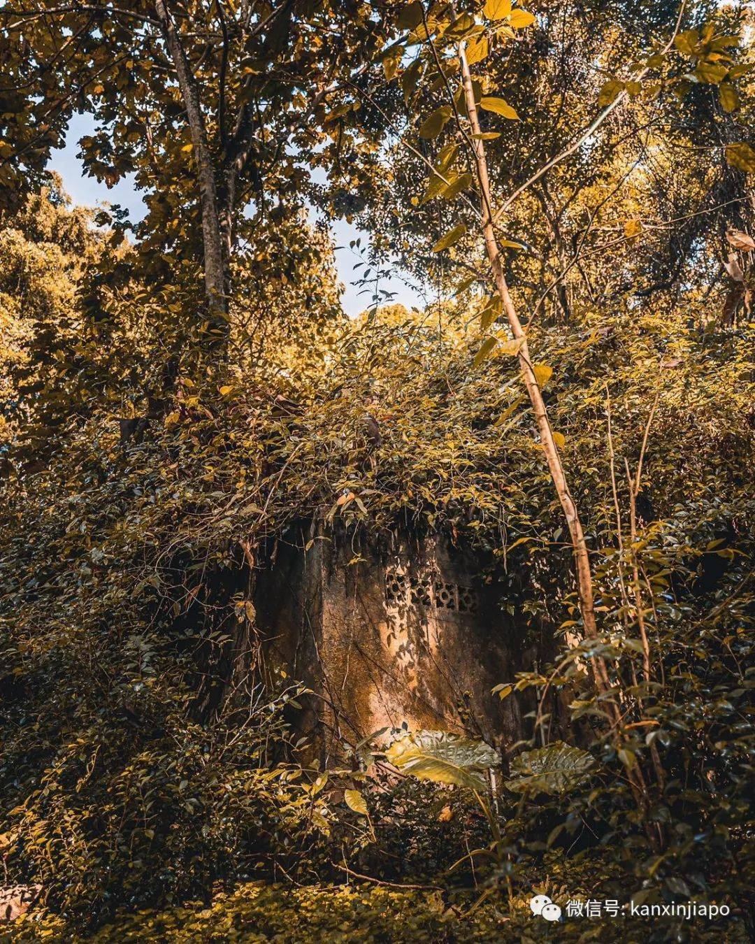 有茅房、有砖门!新加坡保留最完整的中国村藏这里