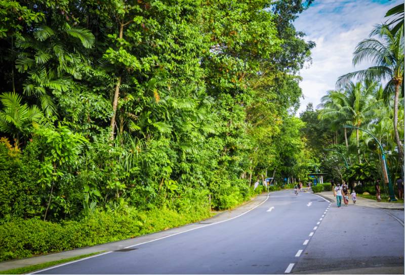 每一張都是 Ins 大片！這樣的新加坡你見過嗎