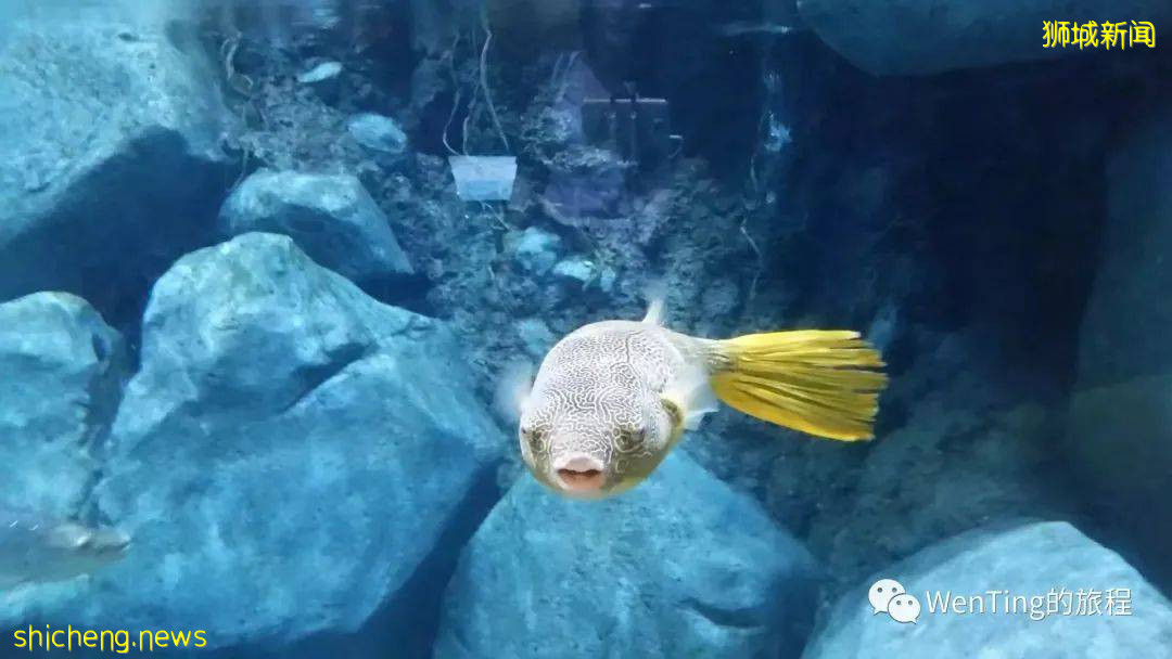 新加坡（4）遊樂園