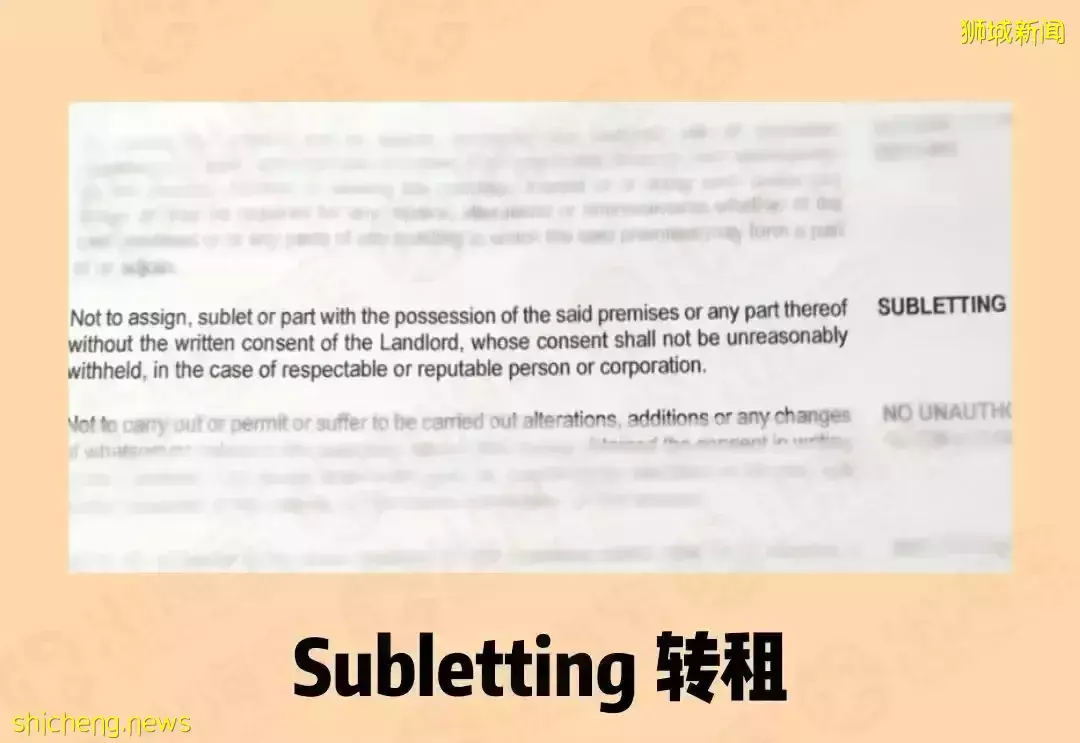 哈芝節來了！在新加坡租房應該注意哪些問題