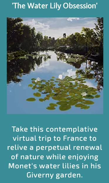 【周末去哪】乌节路亮灯,豪华邮轮,木偶戏!$19.8海底捞,$1.5披萨,日式拉面买1送1