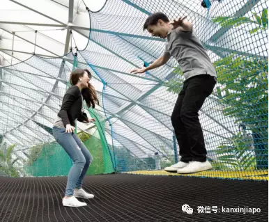 解锁樟宜机场的隐藏玩法,新加坡新晋打卡点