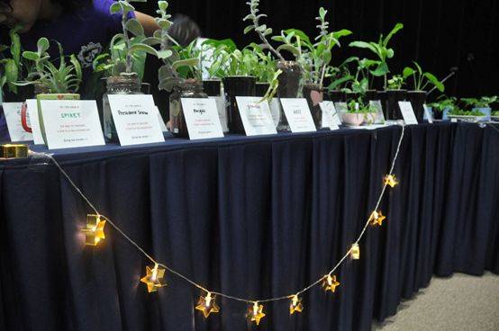 【新加坡留学】别人的母语学习VS我们的英语学习