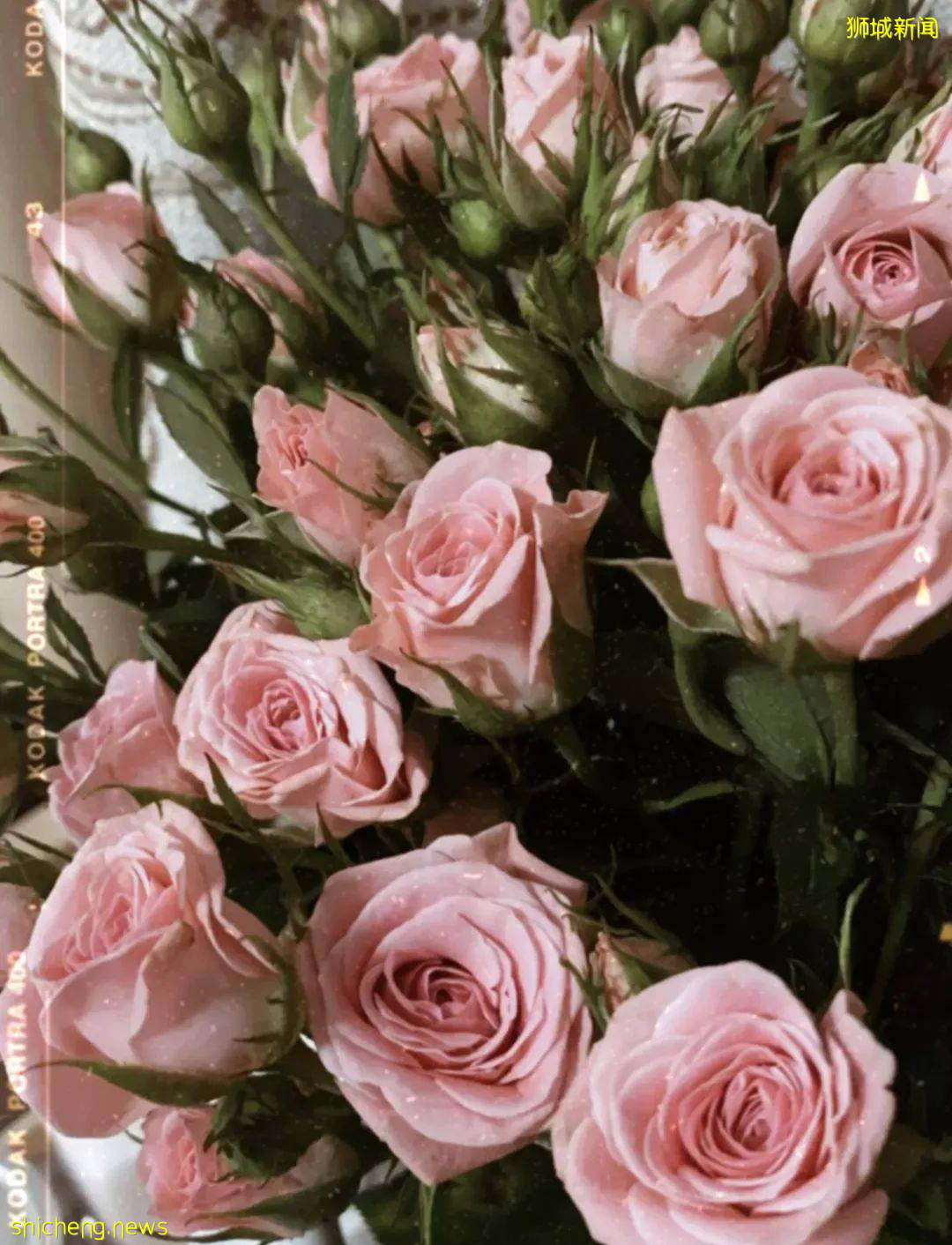 狮城5月公共假期去哪玩,攻略都在这里了