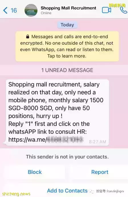 新加坡1370万元银行钓鱼诈骗案13名青少年落网,其中两人曾是私会党党徒