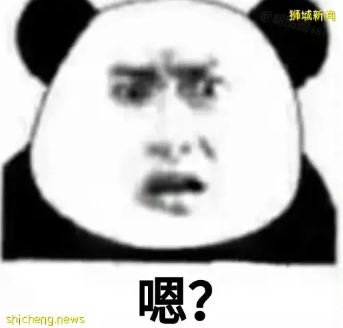 新加坡移民，精英瞬間成了“下等人”