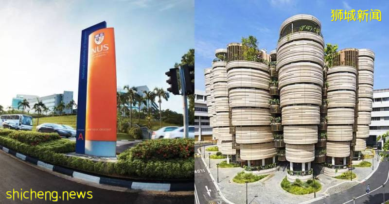 川普對中國實行“禁飛令”，最慘一屆留美學生該何去何從!