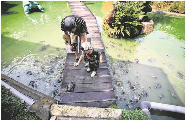 新加坡溜娃指南!超好玩的20個活動,好玩不重樣