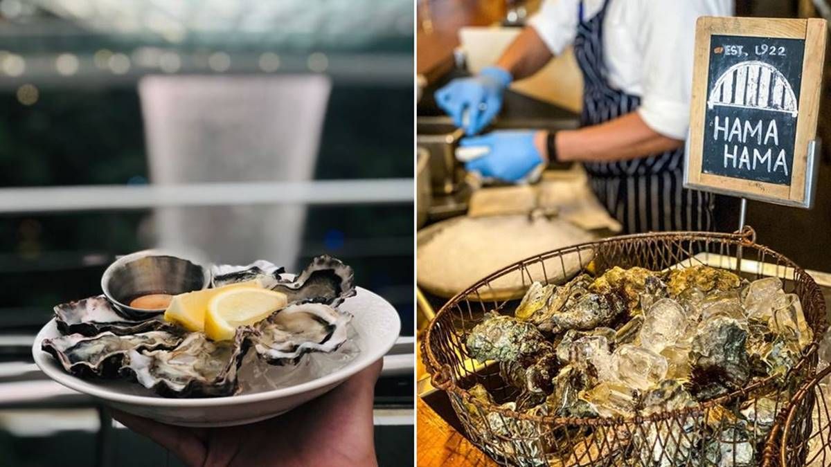 生蚝是女人的美容院，男人的加油站！哪里吃最便宜最新鲜