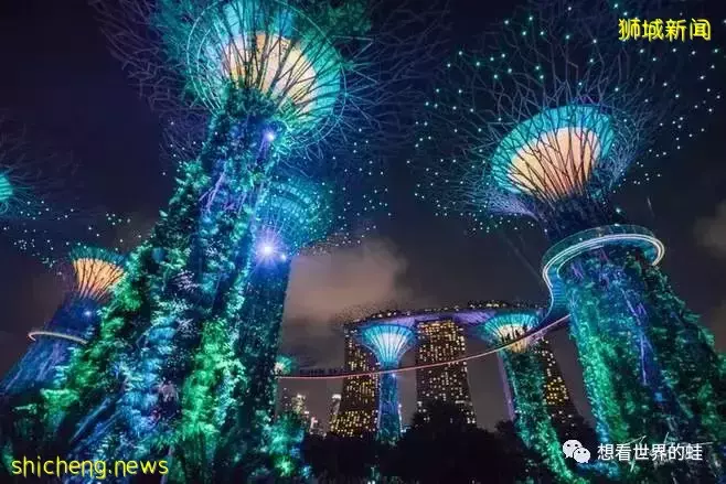 为什么那么多人推荐移民新加坡？好处太多了