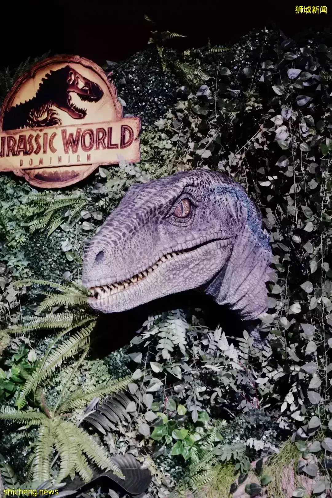 新加坡环球影城搞事情！恐龙大餐，超刺激的侏罗纪盛宴来啦